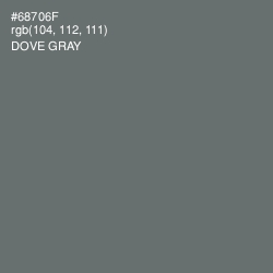 #68706F - Dove Gray Color Image