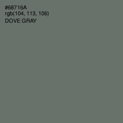 #68716A - Dove Gray Color Image