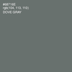 #68716E - Dove Gray Color Image