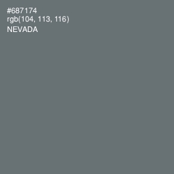 #687174 - Nevada Color Image