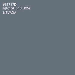 #68717D - Nevada Color Image