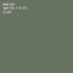 #687261 - Flint Color Image