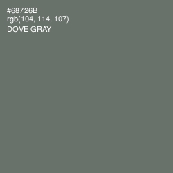 #68726B - Dove Gray Color Image