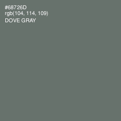 #68726D - Dove Gray Color Image