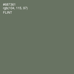 #687361 - Flint Color Image