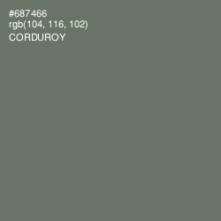 #687466 - Corduroy Color Image