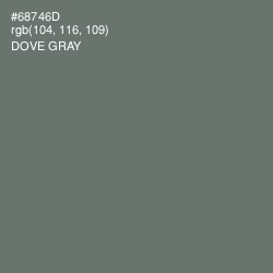 #68746D - Dove Gray Color Image