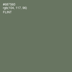 #687560 - Flint Color Image