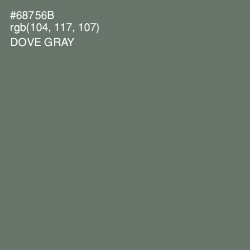 #68756B - Dove Gray Color Image