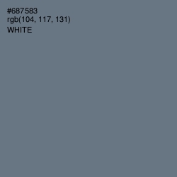 #687583 - Pale Sky Color Image