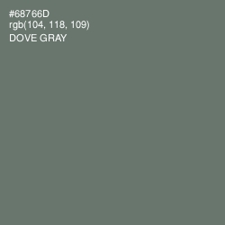 #68766D - Dove Gray Color Image