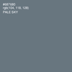 #687680 - Pale Sky Color Image