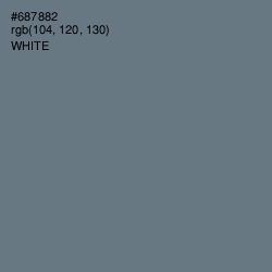 #687882 - Pale Sky Color Image