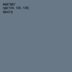 #687887 - Pale Sky Color Image