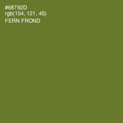 #68792D - Fern Frond Color Image