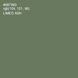 #687960 - Limed Ash Color Image