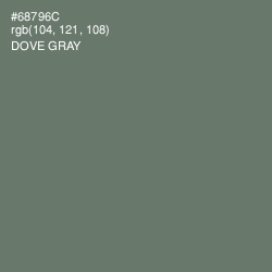 #68796C - Dove Gray Color Image