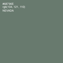 #68796E - Nevada Color Image