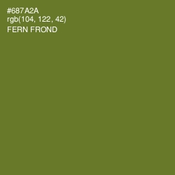 #687A2A - Fern Frond Color Image