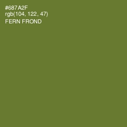 #687A2F - Fern Frond Color Image