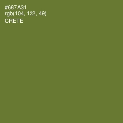 #687A31 - Crete Color Image