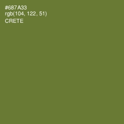 #687A33 - Crete Color Image