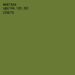 #687A34 - Crete Color Image