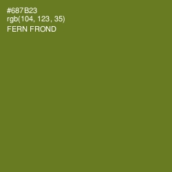 #687B23 - Fern Frond Color Image