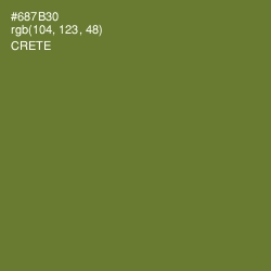 #687B30 - Crete Color Image