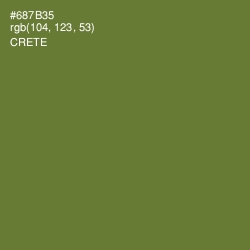 #687B35 - Crete Color Image