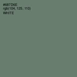 #687D6E - Limed Ash Color Image