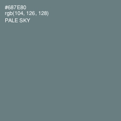 #687E80 - Pale Sky Color Image