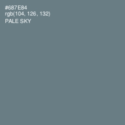 #687E84 - Pale Sky Color Image