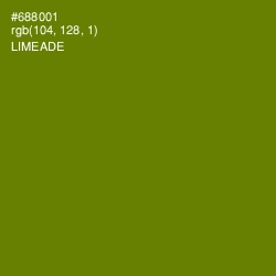 #688001 - Limeade Color Image