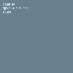 #688191 - Hoki Color Image