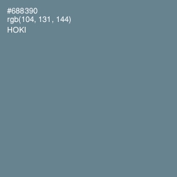 #688390 - Hoki Color Image