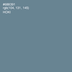 #688391 - Hoki Color Image