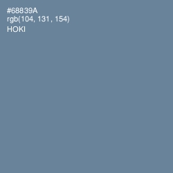#68839A - Hoki Color Image