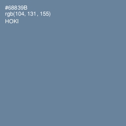 #68839B - Hoki Color Image