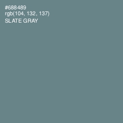 #688489 - Slate Gray Color Image