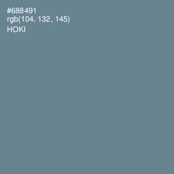 #688491 - Hoki Color Image