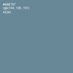 #688797 - Hoki Color Image