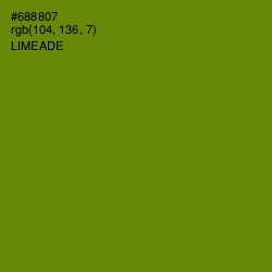 #688807 - Limeade Color Image