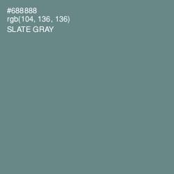 #688888 - Slate Gray Color Image
