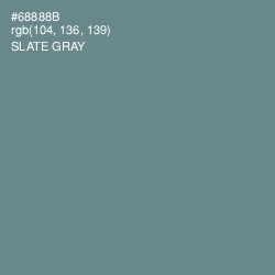 #68888B - Slate Gray Color Image