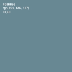#688893 - Hoki Color Image