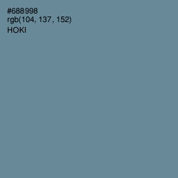 #688998 - Hoki Color Image