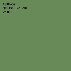 #688A59 - Glade Green Color Image