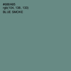 #688A85 - Blue Smoke Color Image