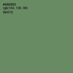 #688B63 - Highland Color Image